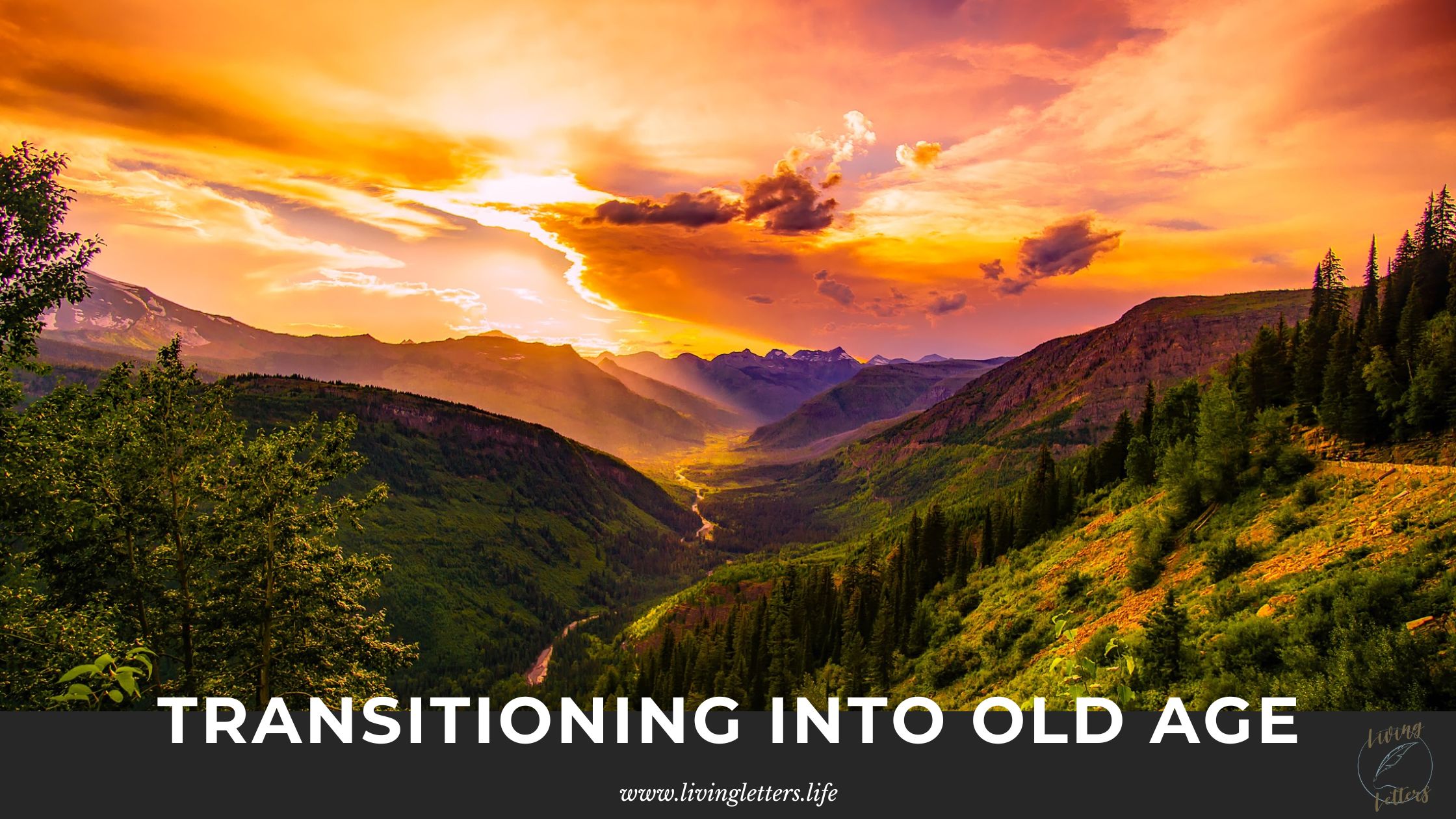 Transitioning into Old Age
